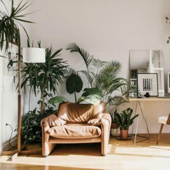 Miguel Milá 'TMM' Floor Lamp in Walnut and White Parchment for Santa & Cole