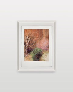 Paisaje