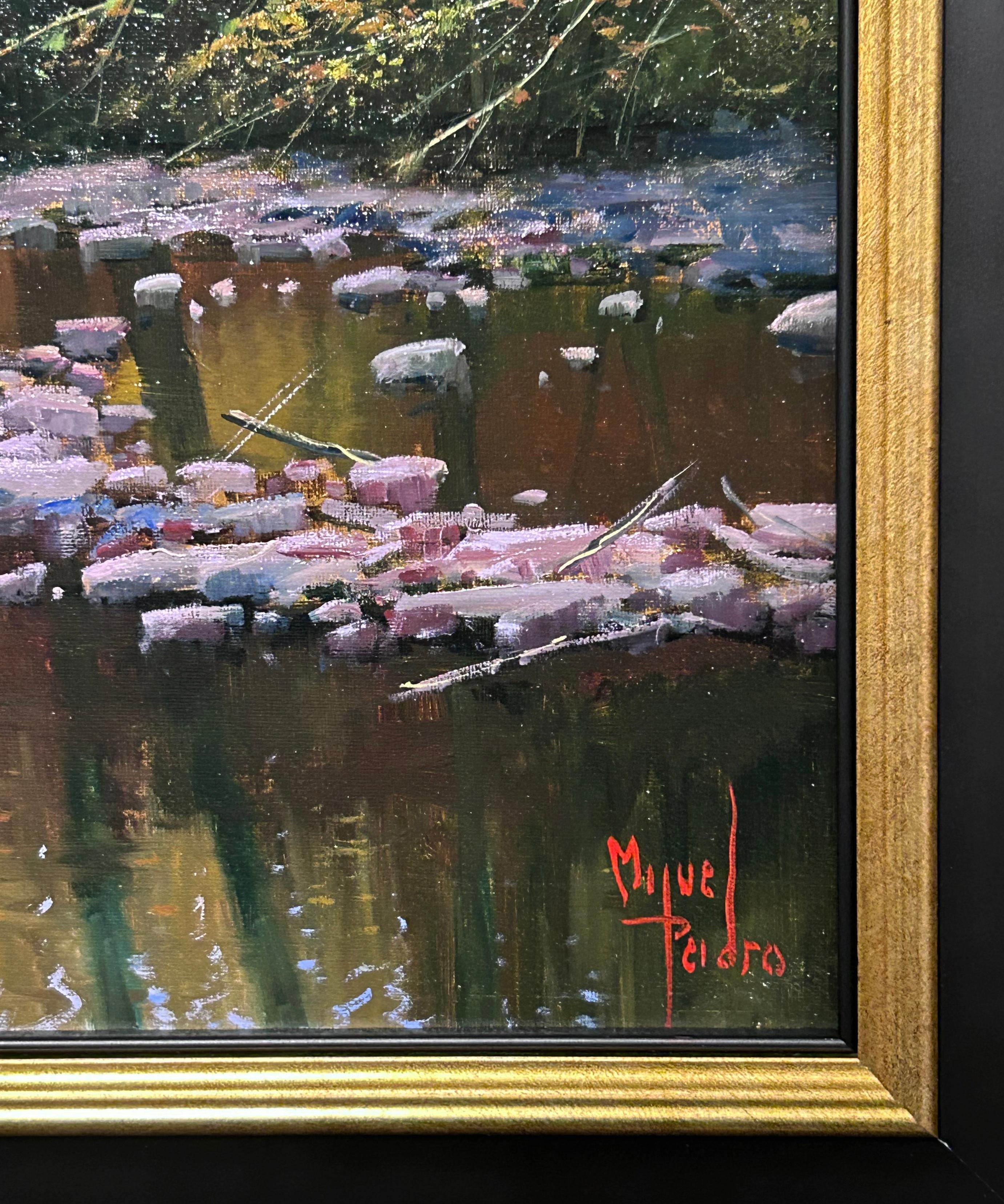 Miguel Peidro, 