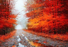 Peinture à l'huile « Rain in Autumn » de Miguel Peidro, paysage de forêt d'automne 18 x 26 cm