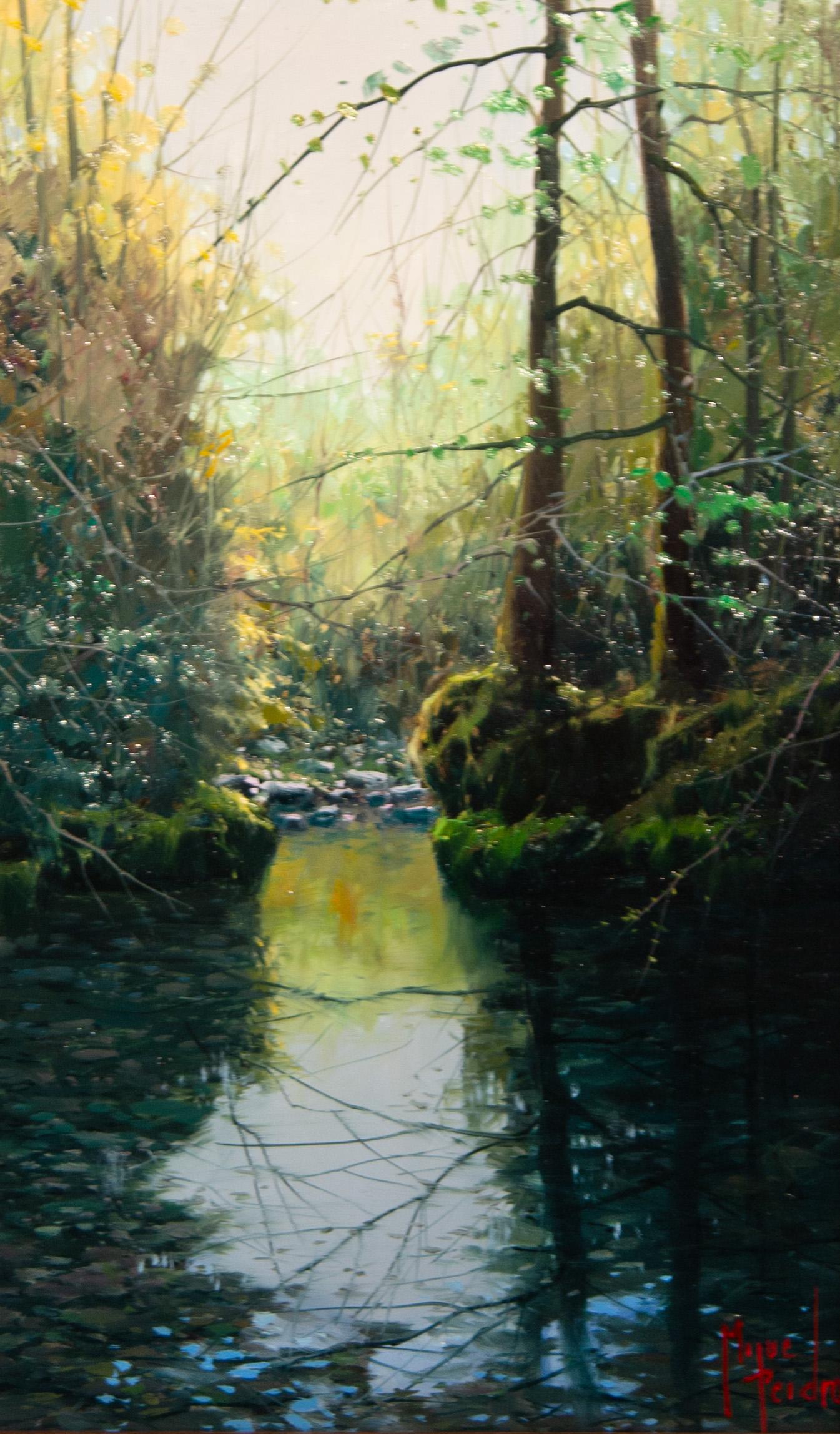 'Tranquility' contemporary photorealist painting of the woods, river, trees - Painting by Miguel Piedro