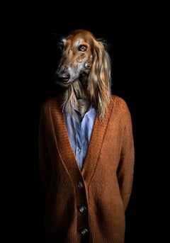 No.11 Nadya - Dog Dressed in a Brown Cardigan, Dark, Portrait Long Haired Dog
