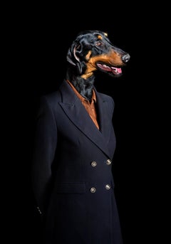 No.41 Dana - Dog Dressed in a Double Breasted Jacket, Dark, Portrait of a Dog