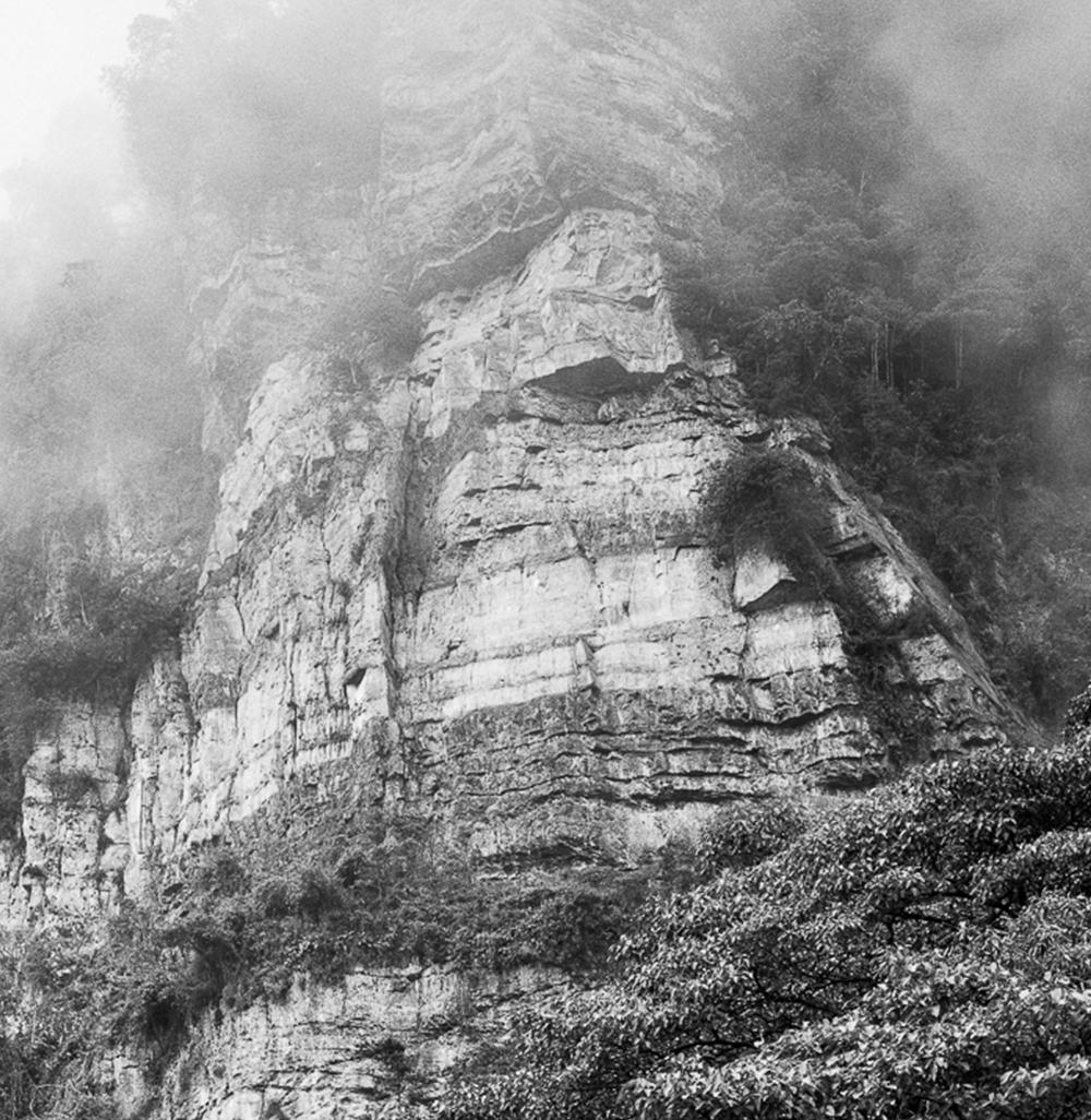 Bosque de niebla Chicaque, Silver Gelatin Print - Photograph by Miguel Winograd 