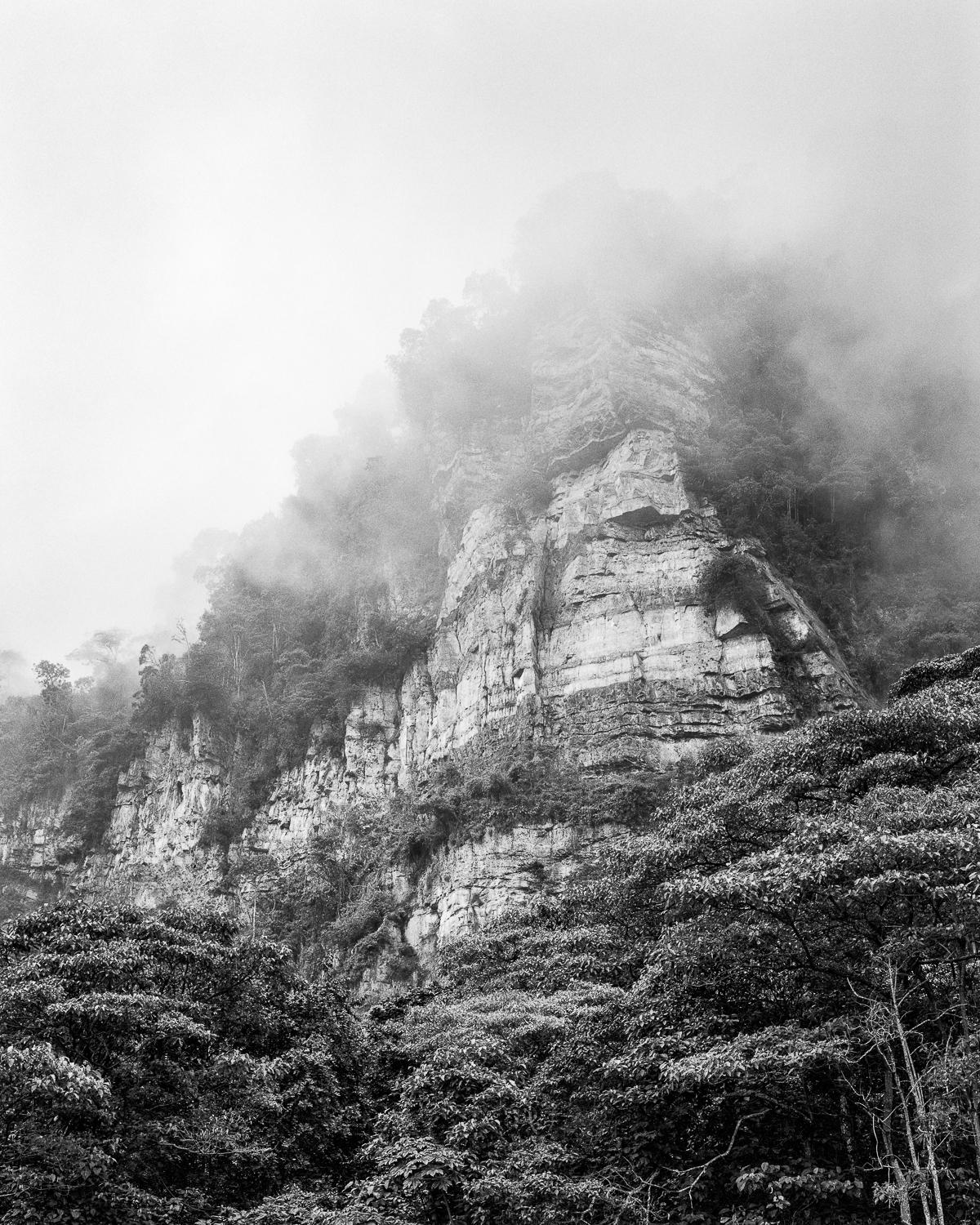 Miguel Winograd  Landscape Photograph - Bosque de niebla Chicaque, Silver Gelatin Print