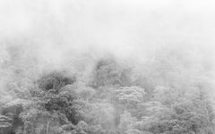 Bosque de niebla Chicaque. Sublimation sur textile