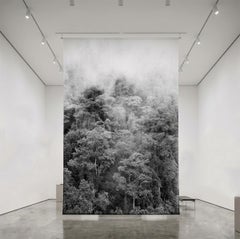 Bosque de niebla Chicaque. Sublimation sur textile