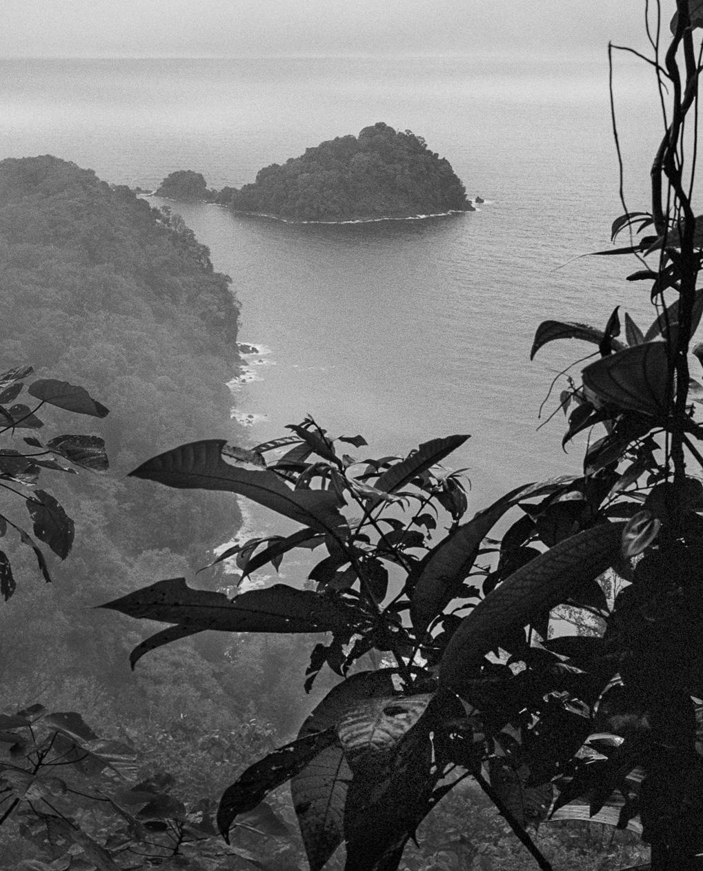 Bosque Húmedo Tropical III Nuqui, de la série Bosques. - Photograph de Miguel Winograd 