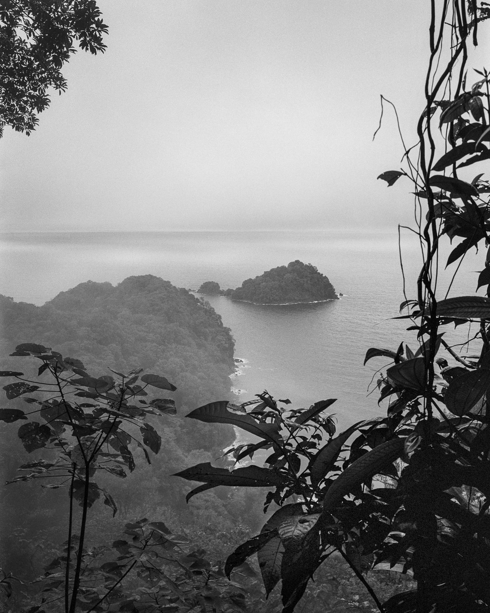 Miguel Winograd  Landscape Photograph - Bosque Húmedo Tropical III Nuquí, Silver Gelatin Print