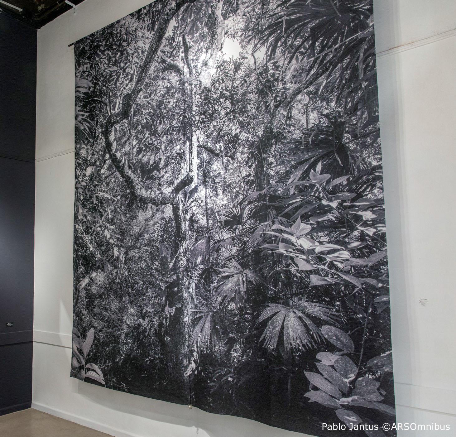 Bosque Seco Tropical II Montes de María. Sublimación sobre textil - Landscape Photograph Negro de Miguel Winograd 