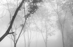 Bosque Seco Tropical III Montes de María. Sublimation sur textile