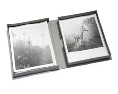 Bruma Portfolio, limitierte Auflage, Silber-Gelatinedrucke, säurefreie Schachtel