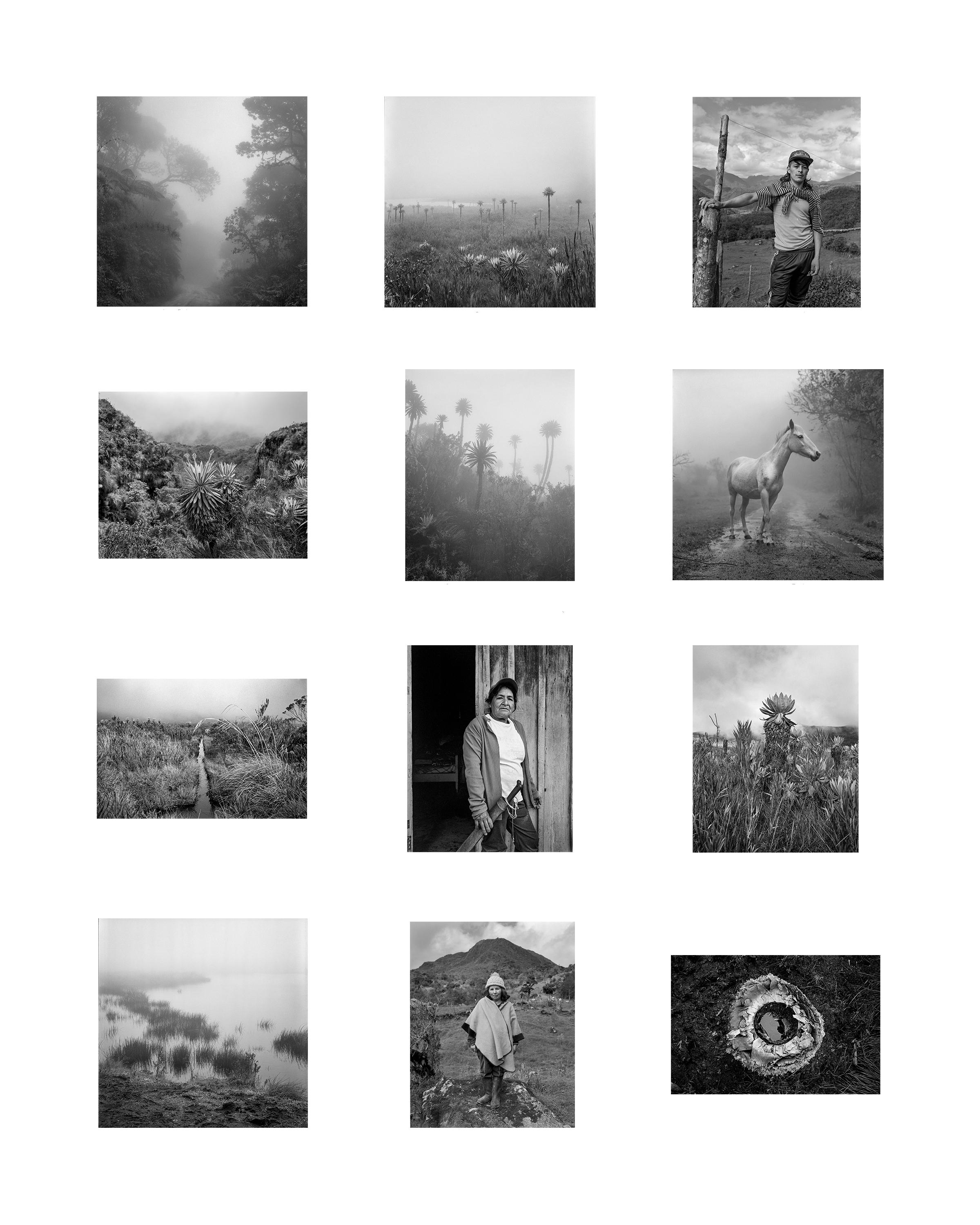 Miguel Winograd  Landscape Photograph - Bruma Portfolio, Limited Edition, Silver Gelatin Prints, Acid-free box