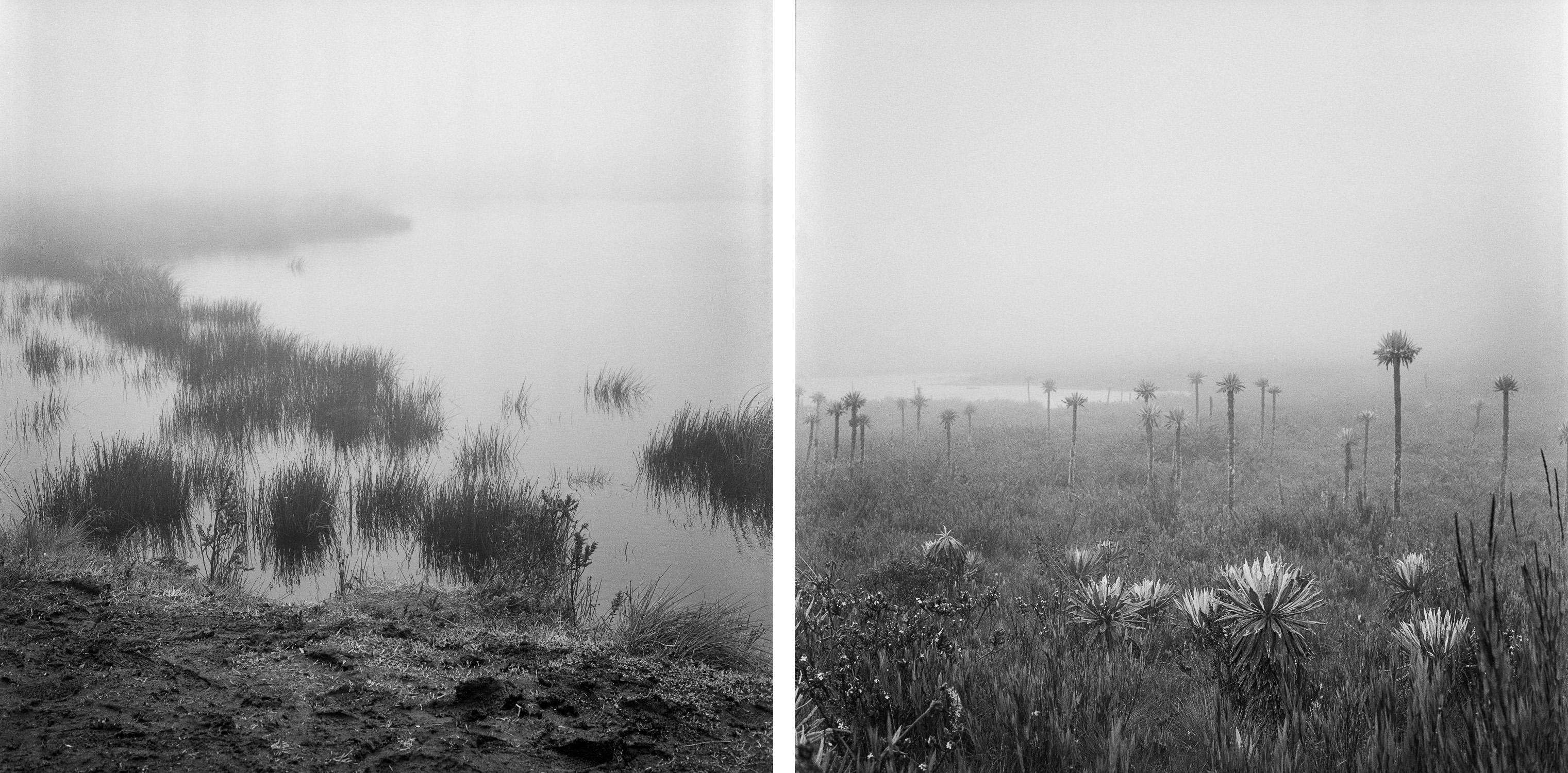 Miguel Winograd  Black and White Photograph – Laguna el Verjón und Lagunas de Buitrago Chingaza Diptychon, Pigmentdrucke