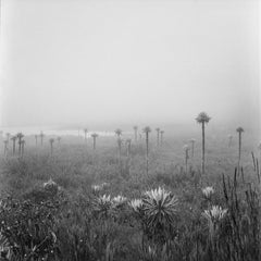 Lagunas de Buitrago Chingaza, Silver Gelatin Print
