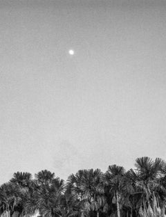 Morichal, Cumaral, Silber-Gelatine-Druck