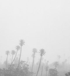 Páramo Chingaza, Pigment Prints