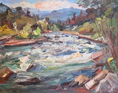 Esopus River, Phoencia New York