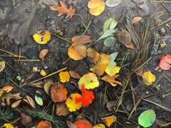 Dark, Moody, Wet, Detailed, Oil Paintings, Medium Sized, Natural Diptych