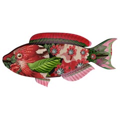 Miho Fish Abracadabra