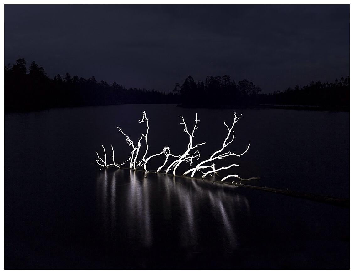 "Le Marais de Carélie, Finlande", Farbfotografie eines finnischen Sumpfes von Mikael Lafontan.

Mikael Lafontan ist ein französisch-schwedischer Künstler, geboren 1968. Er lebt und arbeitet seit 20 Jahren in Paris. Die meisten Arbeiten von Mikael