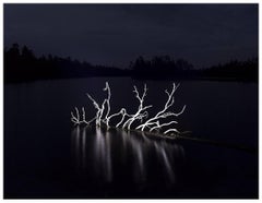 "Le Marais de Carélie, Finlande", photography by Mikael Lafontan (48x60'), 2016