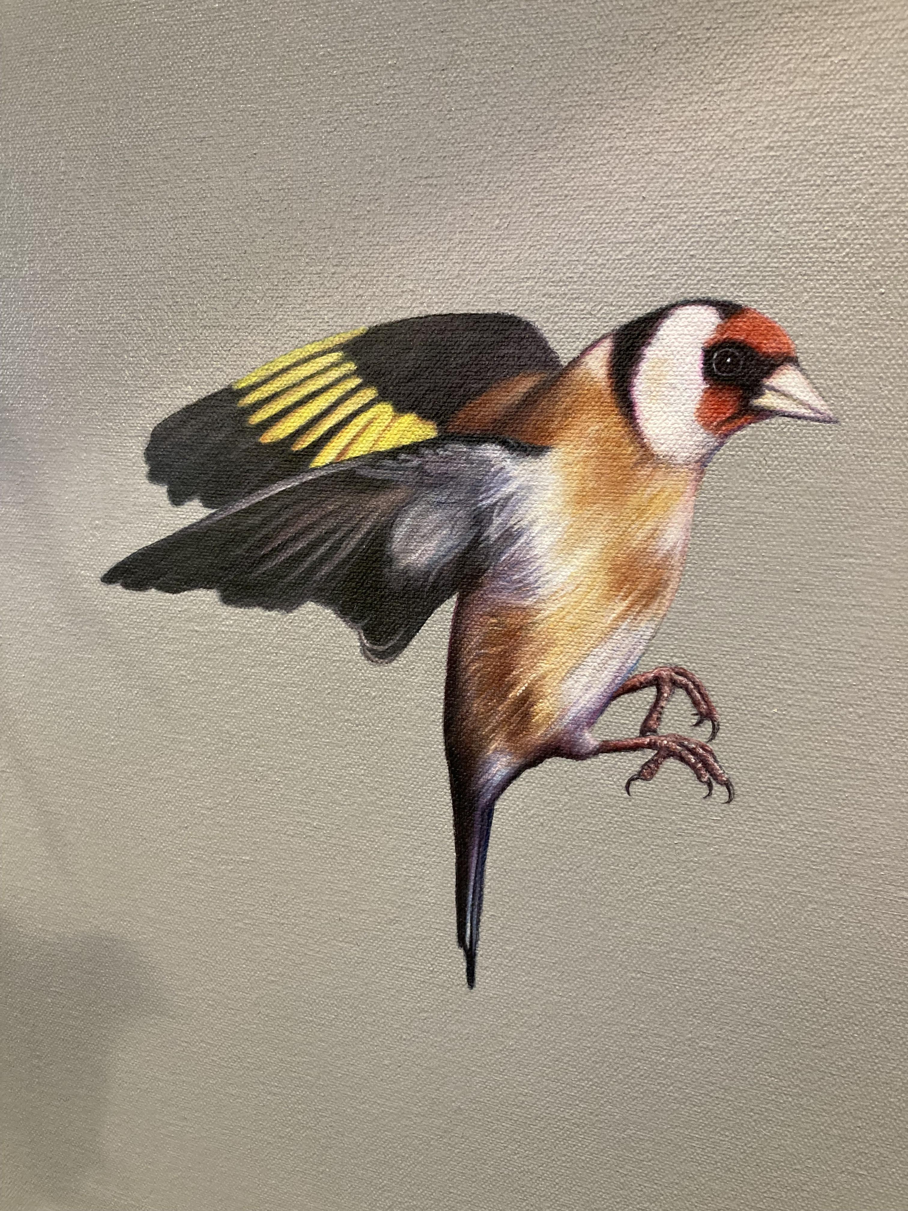 hyper realistic bird painting