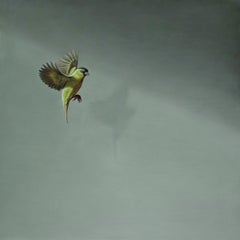 Harmony of One - contemporary realism bird painting oil on wood panel