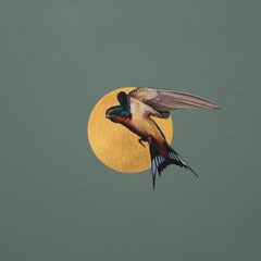 Helios III - Oiseau en vol / Peinture à l'huile sur toile