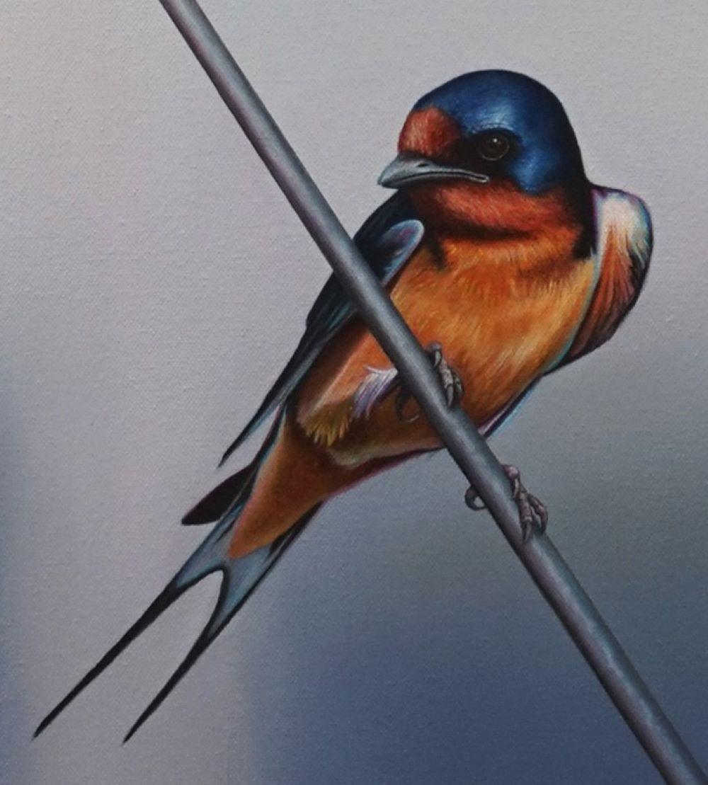 Mike Ellis è un artista britannico pluripremiato che ha esposto in tutto il sud e il centro dell'Inghilterra. An He si è laureato nel 2002 con una laurea di primo livello in Illustrazione, dove il suo amore per il wabi-sabi gli ha fatto vincere una