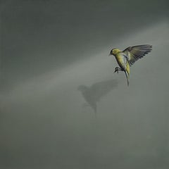 Rapture - contemporary realistic flying bird shadow grey oil painting canvas