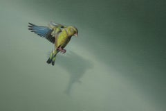 Peinture d'oiseau transcendante, faune, nature, jardin, botanique, animal