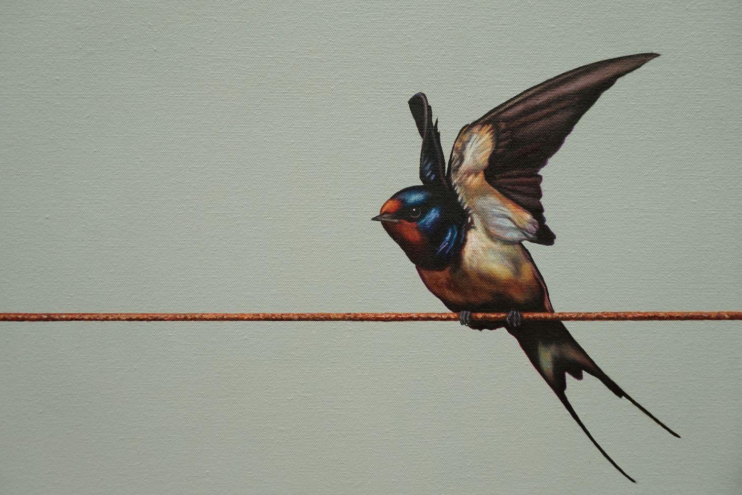 Volante - Pittura di uccelli, fauna selvatica, Nature, giardini, botanica, animali - Painting di Mike Ellis