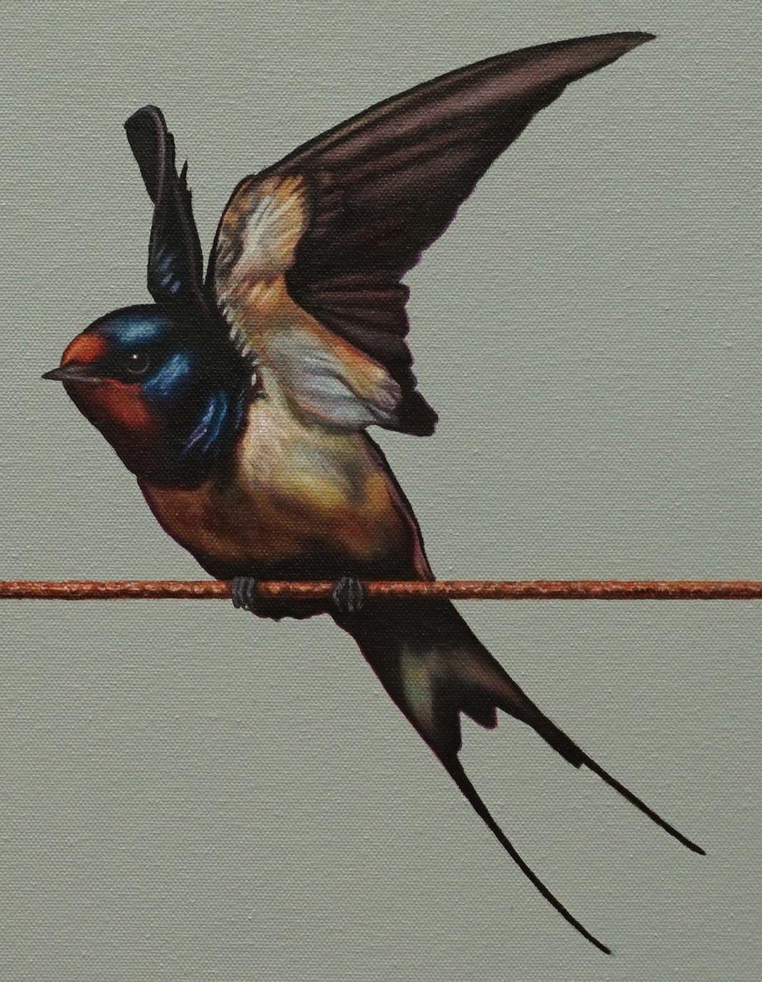 Volante - Pittura di uccelli, fauna selvatica, Nature, giardini, botanica, animali - Painting Contemporaneo di Mike Ellis