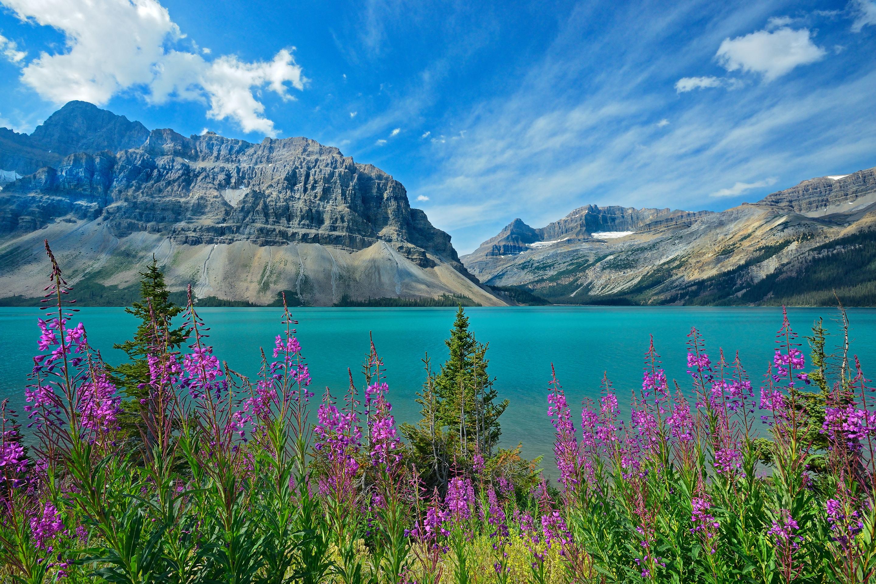 â€˜Summer at Bow Lake, Banffâ€™ par Mike Grandmaison Parc national de Banff, Alberta. Canada  Le lac Bow, dans le parc national de Banff, est l'une des destinations le long de la promenade des glaciers où la plupart des gens s'arrêtent pour admirer