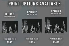 Alice Cooper Performing Fine Art Print