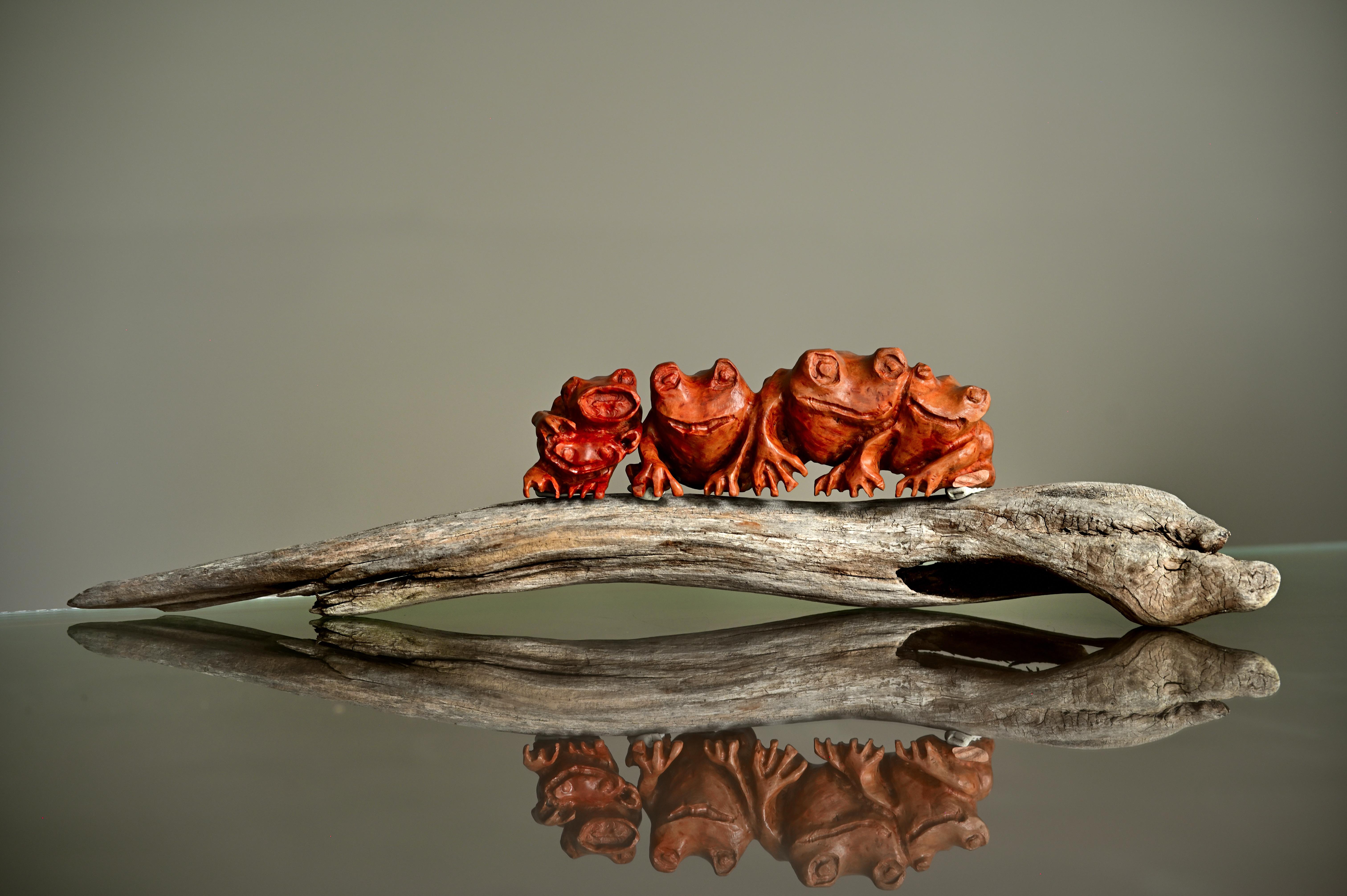 Mike Jorgensen Figurative Sculpture - Frog singing on a log, Original Naturalistic Wood Sculpture