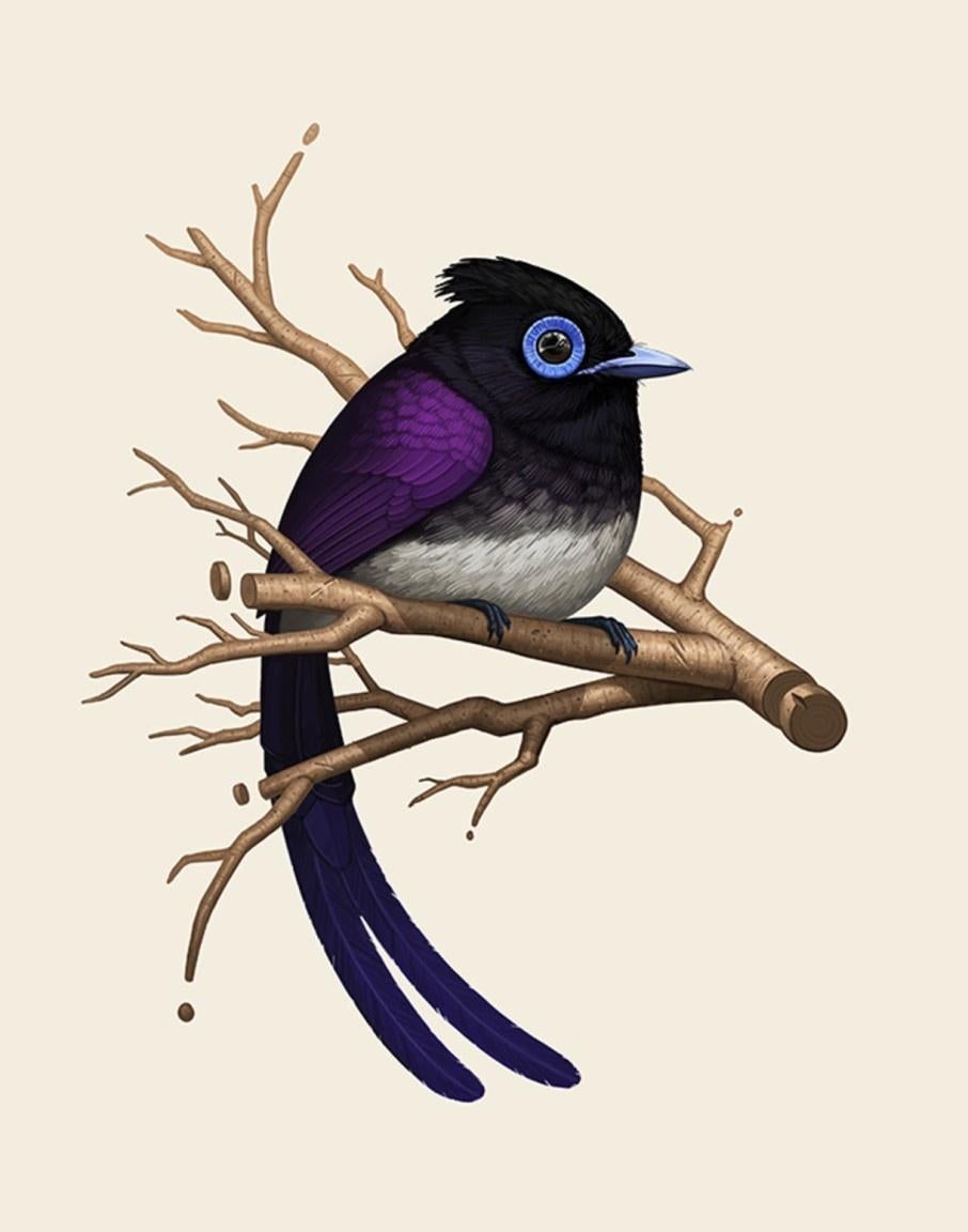 Mike Mitchell - Papamoscas del Paraíso Japonés - Artista Contemporáneo