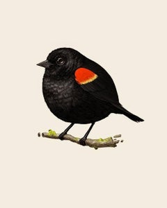 Mike Mitchell - Red-Winged Blackbird - Contemporary Artist