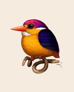 Mike Mitchell - Rufous-Backed Dwarf Kingfisher  - Contemporary Artist