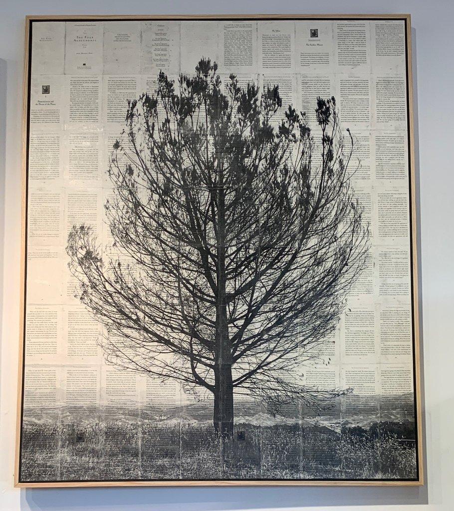 Mike Saijo Landscape Photograph - Avatar Tree