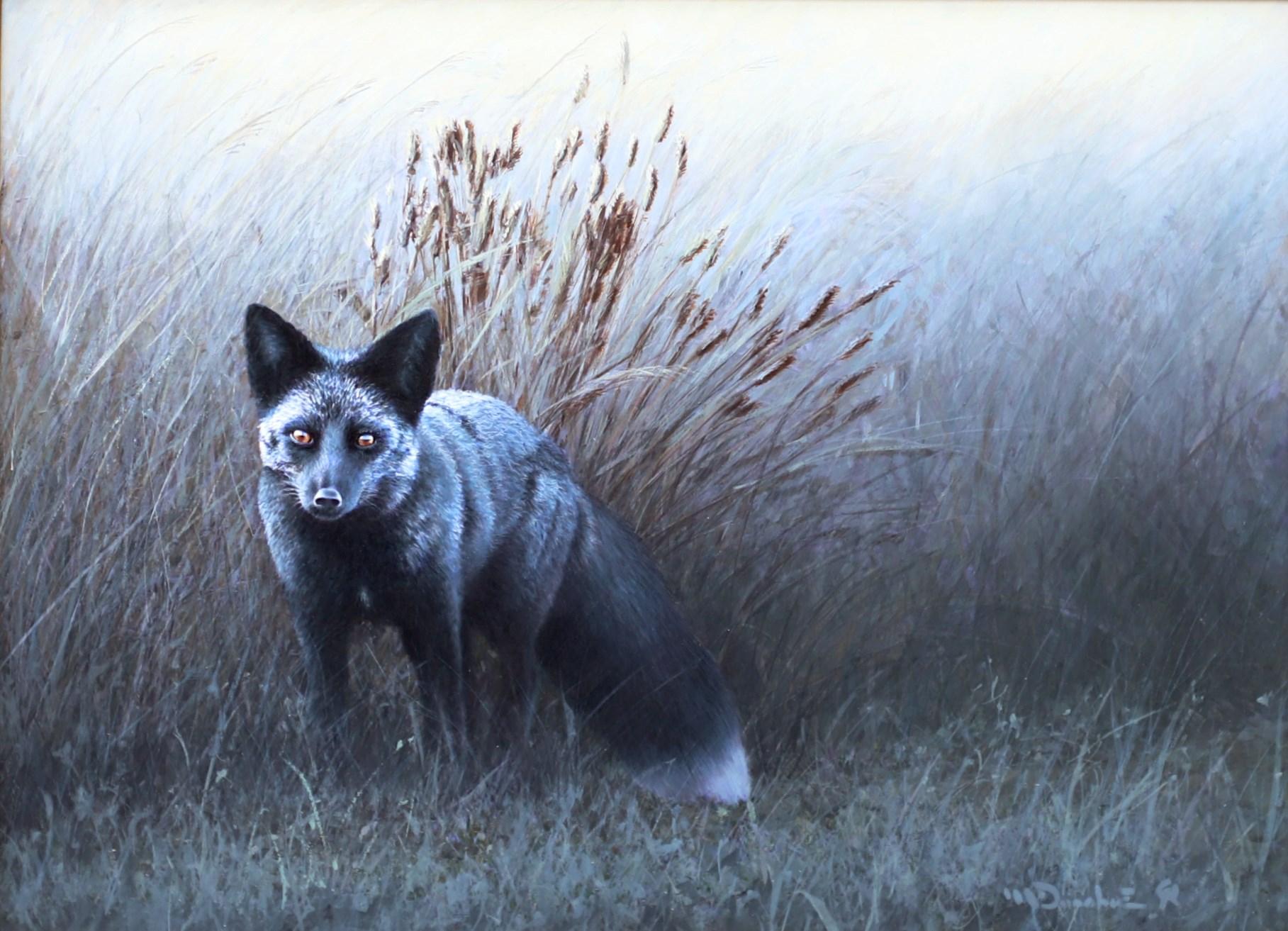 San Juan Island - Blaufuchs – Painting von Mikel Donahue