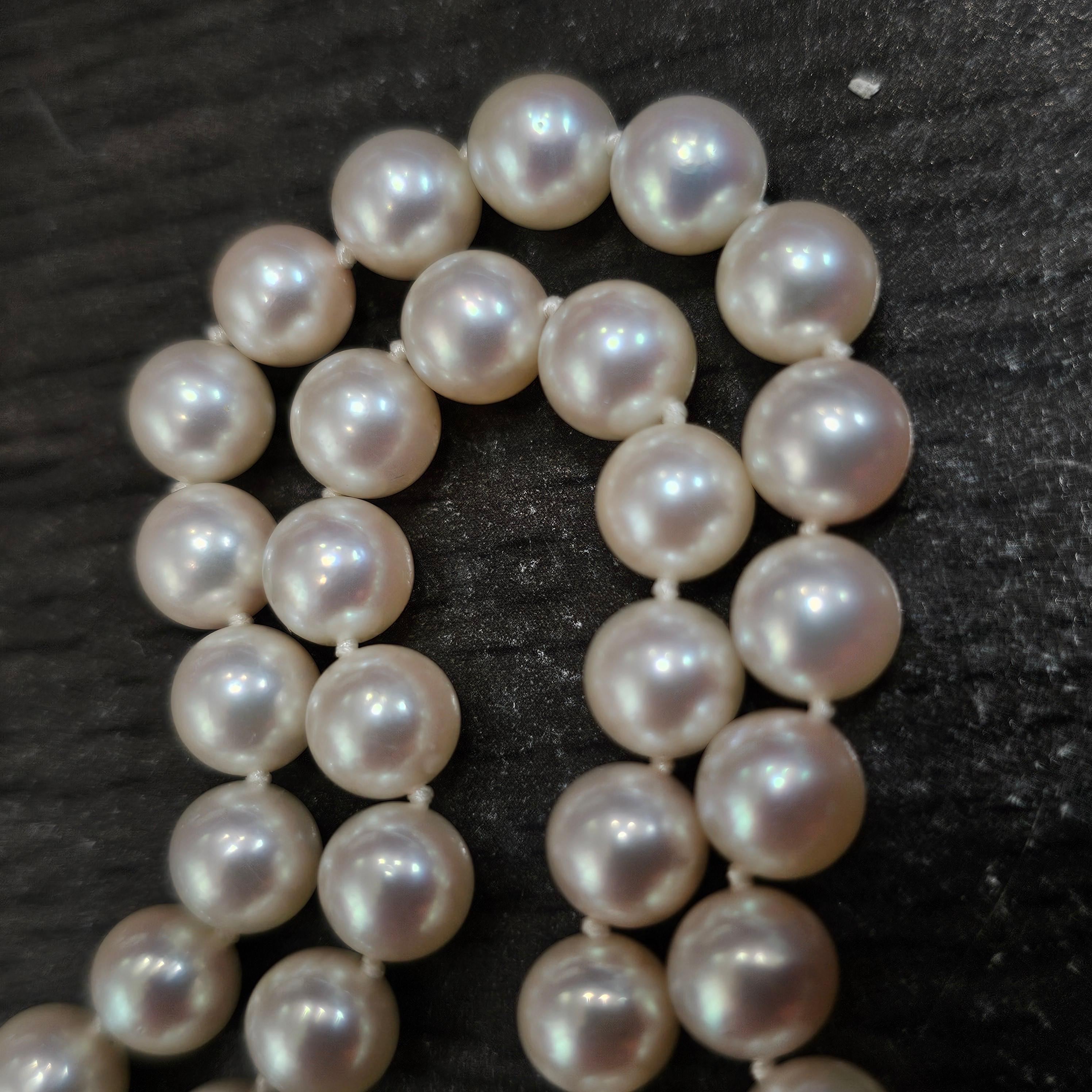 Mikimoto 38