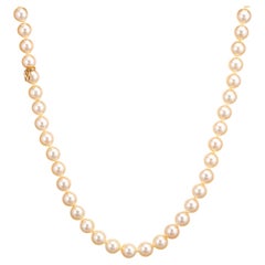 Mikimoto 8mm Golden Akoya Pearl Necklace 17" Strand Estate Fine Jewelry  