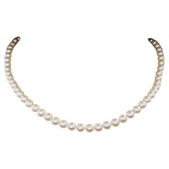 Mikimoto Collier de perles Akoya A+ 6,5 mm en or jaune 18 carats