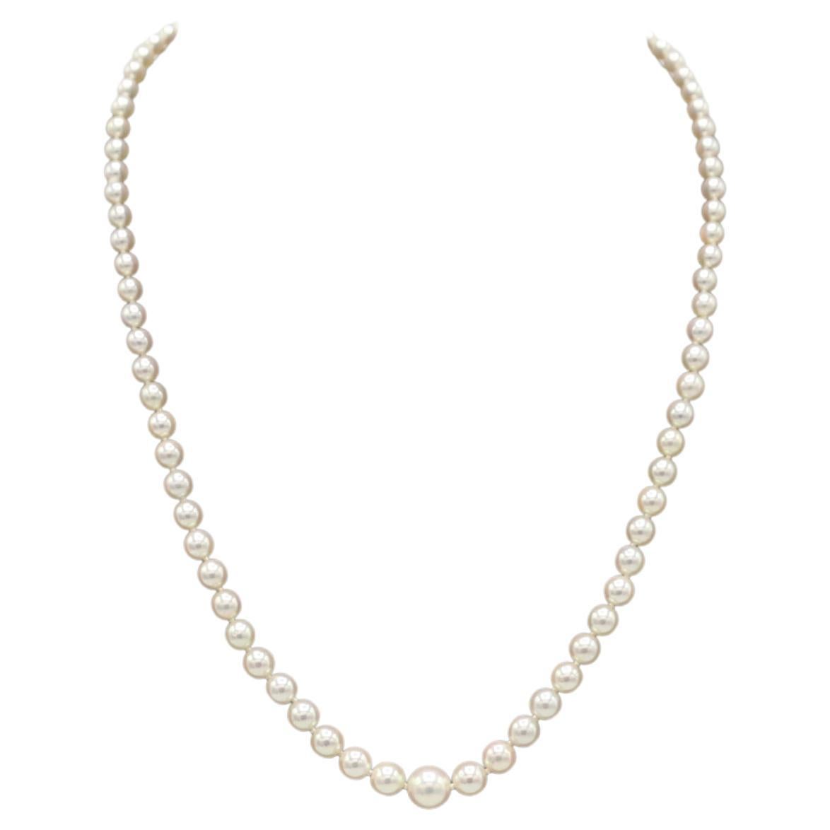 Mikimoto Akoya Zuchtperlenkette mit 18 Karat Goldverschluss und Box 
Metall: 18k Gelbgold
Gewicht: 14,18 Gramm
Perlen: 3,7 - 7,5 mm runde, weiße Akoya-Zuchtperlen mit cremefarbenem Lüster
Länge: 17 Zoll
Hinweis: Schachtel & Beutel
TDD F35001520
