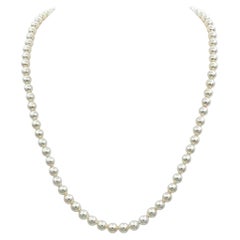 Mikimoto Akoya Cultured Pearl Strand Necklace with 18 Karat Yellow Gold Clasp