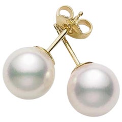 Mikimoto - Clous de chevalière Akoya en perles de culture PES702K