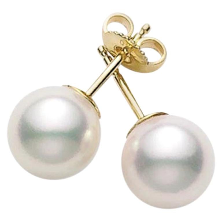 Mikimoto - Clous de chevalière Akoya en perles de culture PES705K