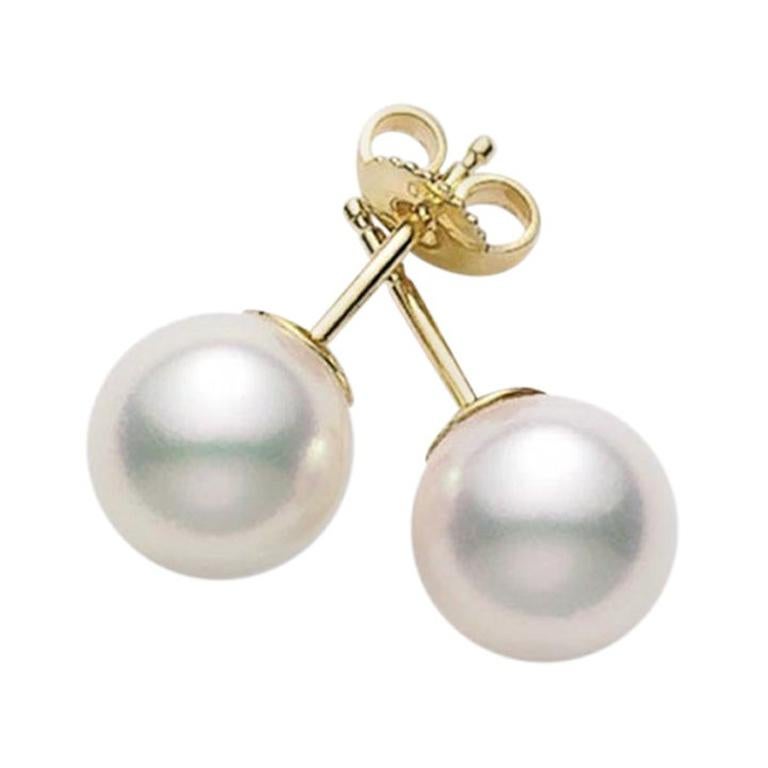 Mikimoto - Clous de chevalière Akoya en perles de culture PES751K
